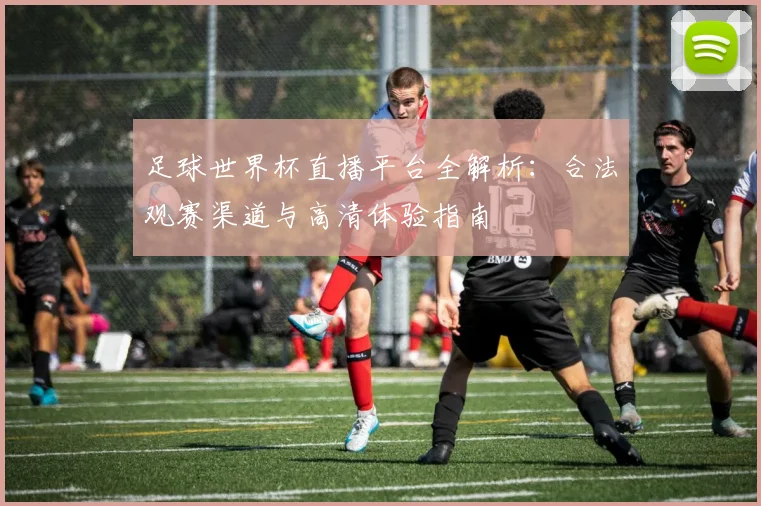 足球世界杯直播平台全解析:合法观赛渠道与高清体验指南