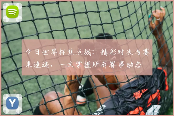 今日世界杯焦点战:精彩对决与赛果速递,一文掌握所有赛事动态